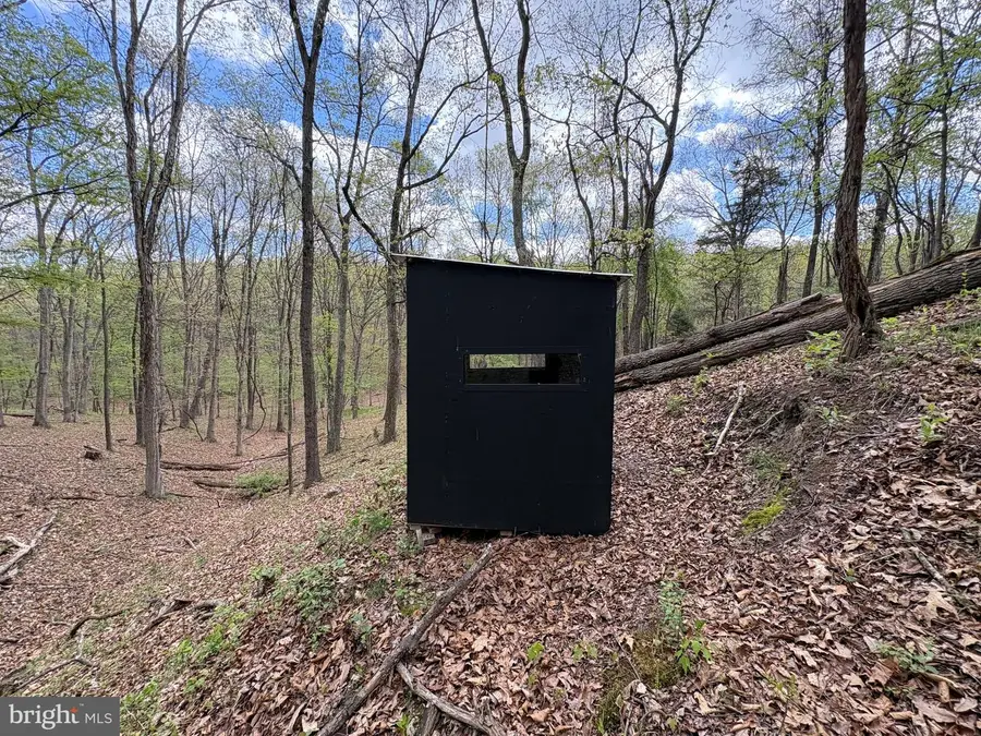 15.02 Ac Beam Rd, Romney, WV 26757 - #3