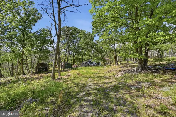 406 Red Fern Ln, AUGUSTA, WV 26704