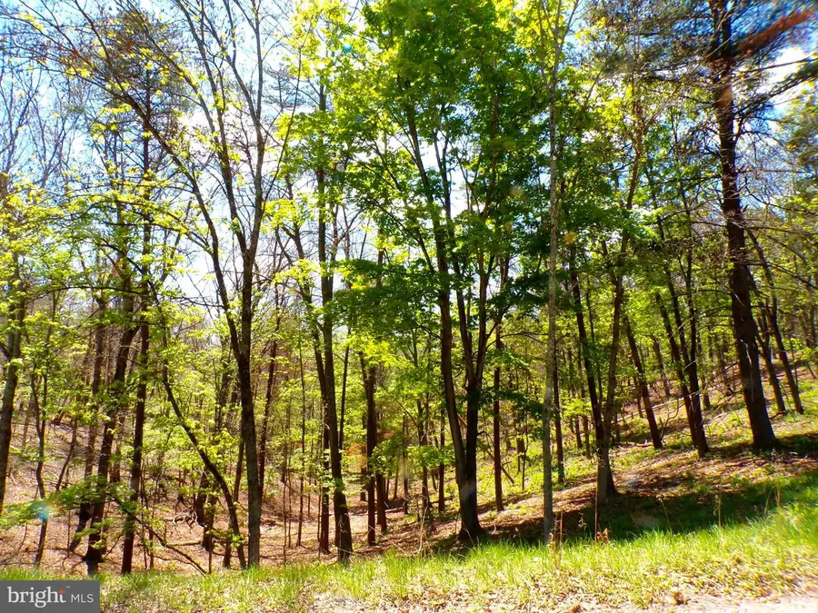 Lot 120 Crossings @ Cacapon, Paw Paw, WV 25434 - #2