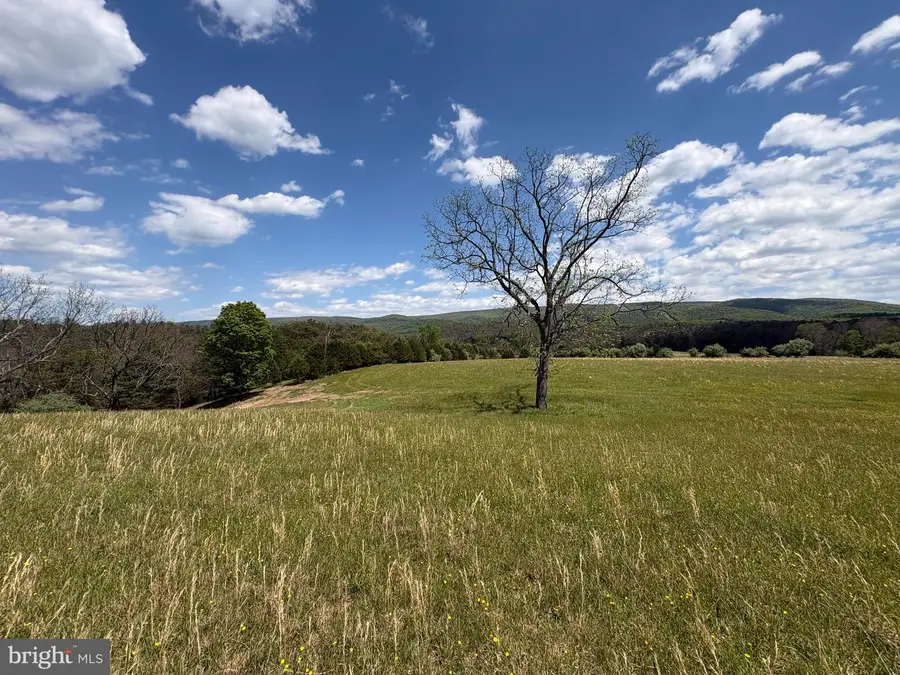 8.25 Ac Walnut Tree Ln, Paw Paw, WV 25434 - #2