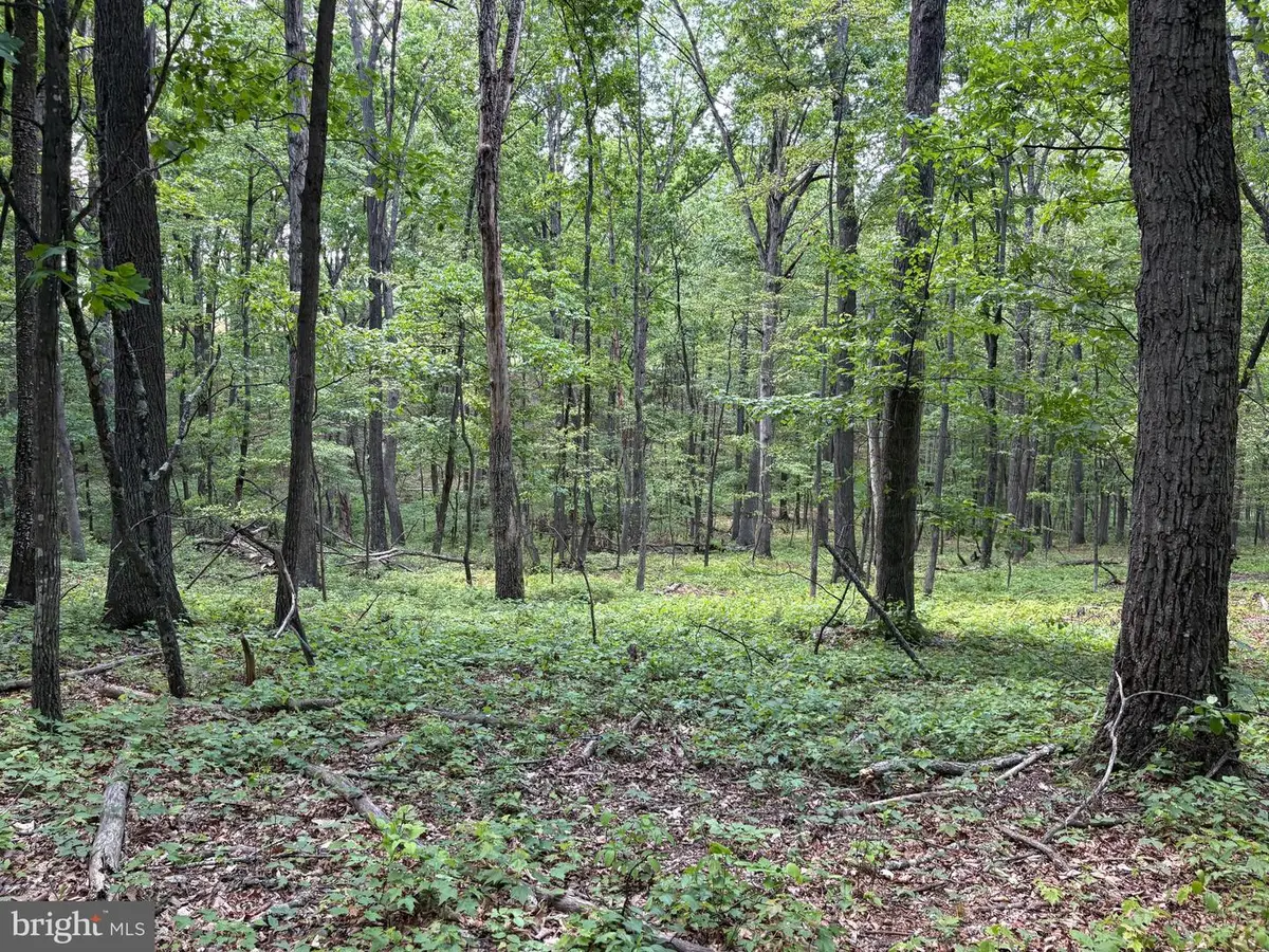 Lot 11 Rock Creek Trail, Augusta, WV 26704 - #1