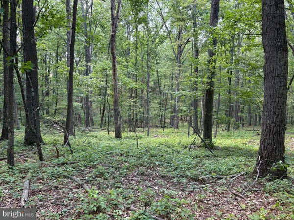 Lot 11 Rock Creek Trail, AUGUSTA, WV 26704