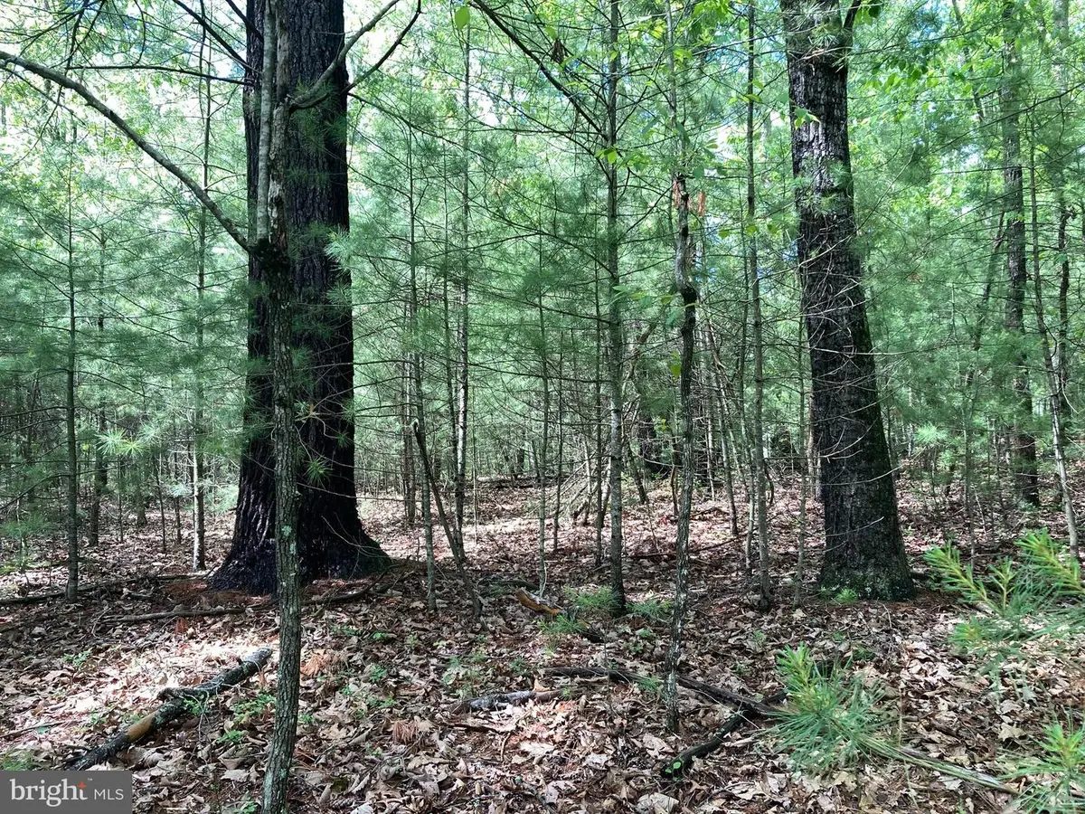 L7 Quaker Woods Ln, Capon Bridge, WV 26711 - #1