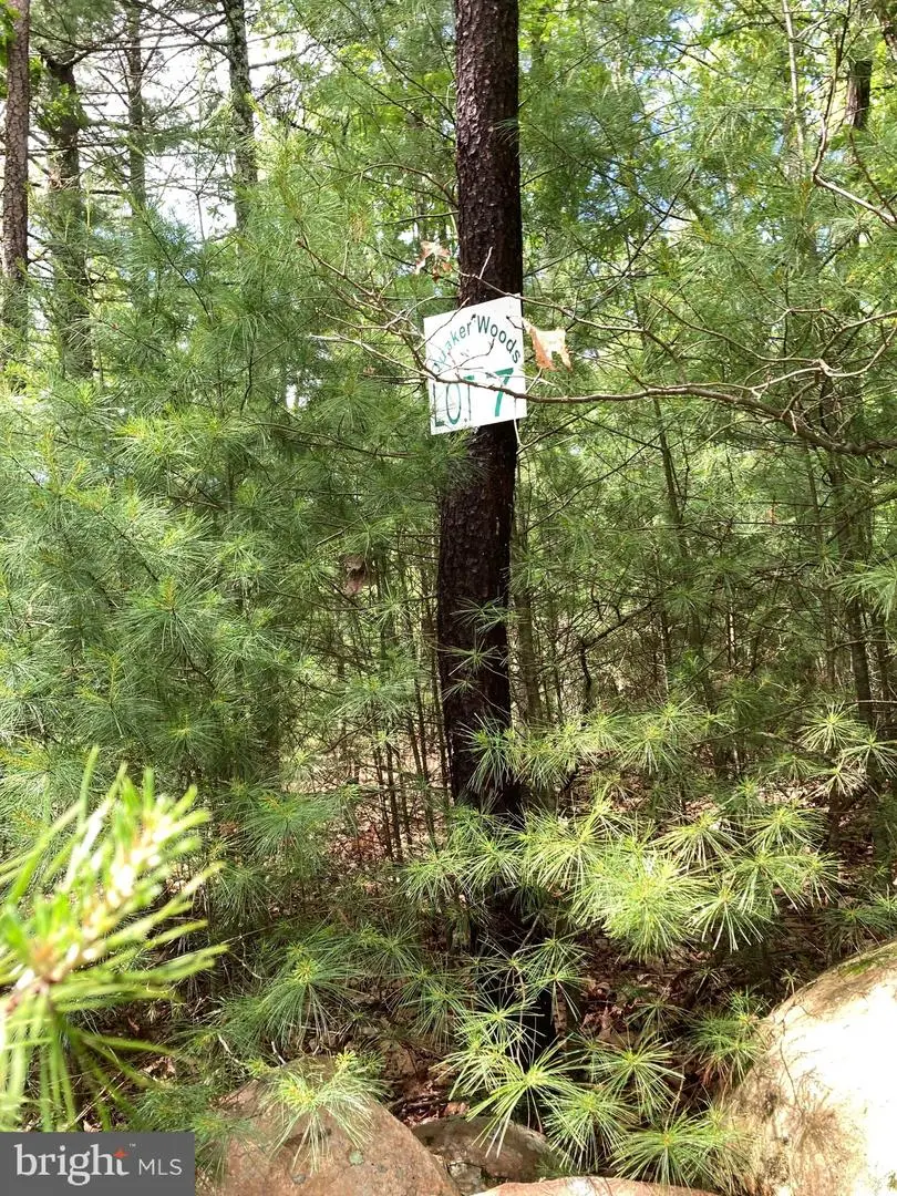 L7 Quaker Woods Ln, Capon Bridge, WV 26711 - #2