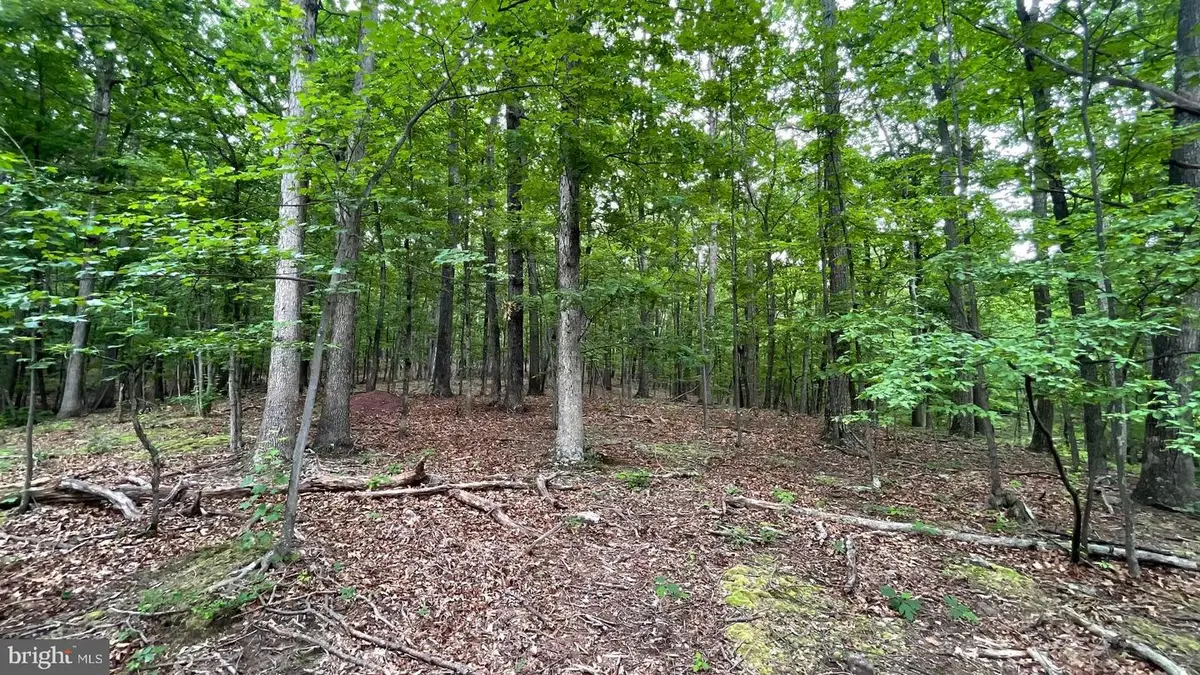 Lot 53 Hidden Springs Court, Slanesville, WV 25444 - #1