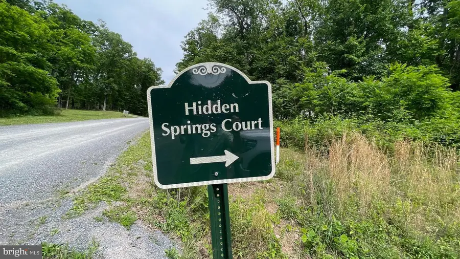 Lot 53 Hidden Springs Court, Slanesville, WV 25444 - #3