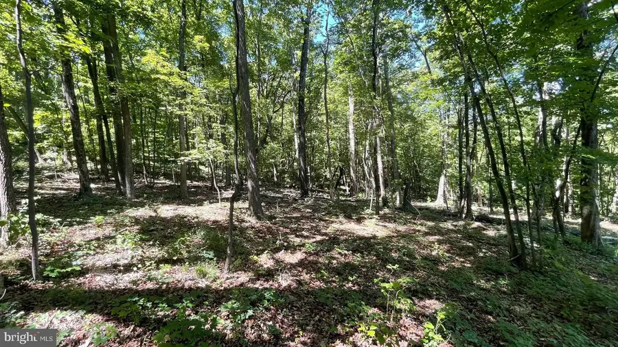 28 B Falconwood, Bloomery, WV 26817 - #2