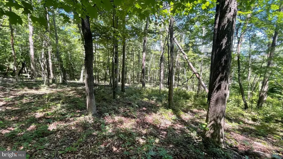 28 B Falconwood, Bloomery, WV 26817 - #3