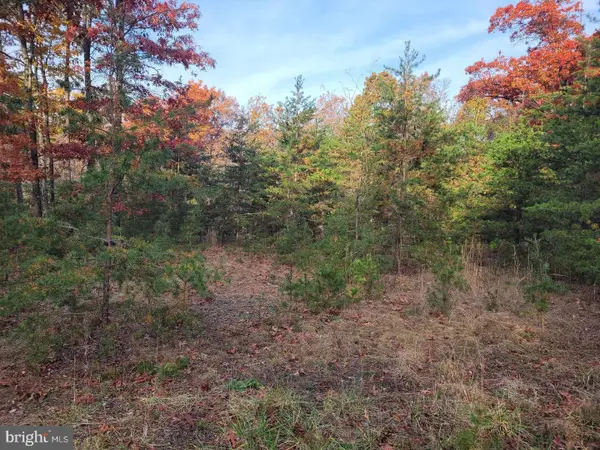Lot 26 Park Road, PAW PAW, WV 25434
