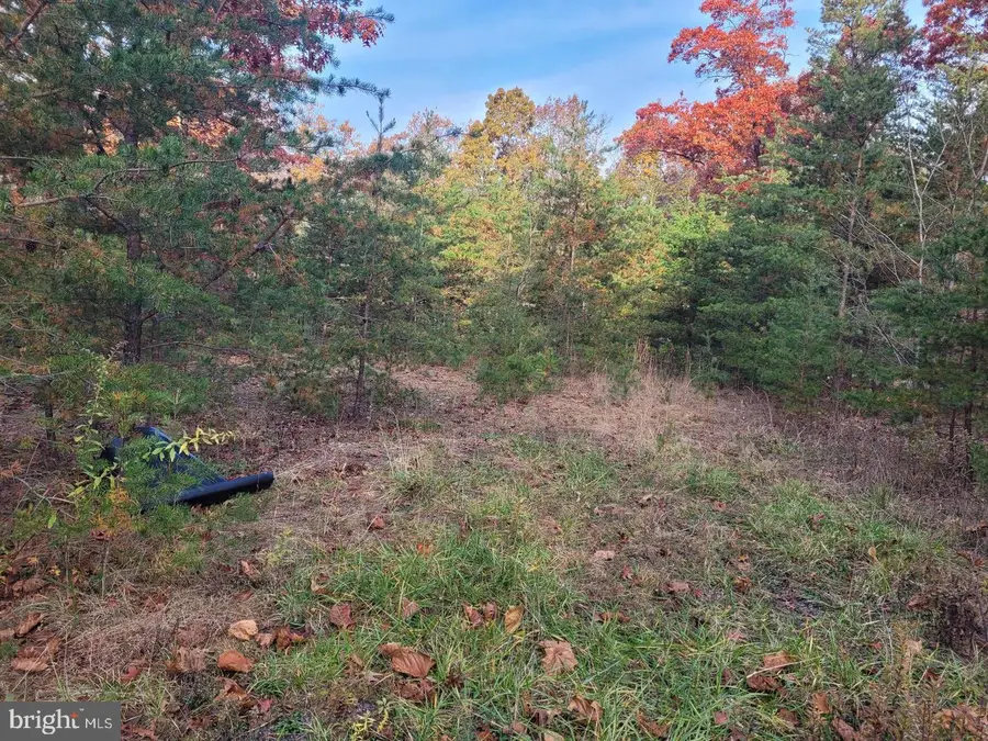 Lot 26 Park Road, Paw Paw, WV 25434 - #2
