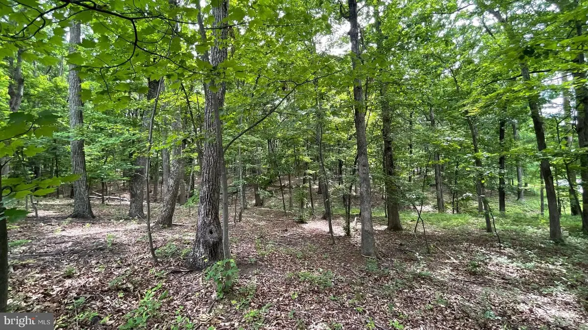 Lot 61 Bristol Springs Way, Slanesville, WV 25444 - #1