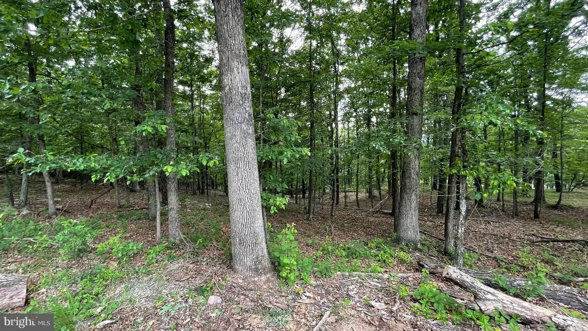Lots 47-48-49 Bristol Ct, Slanesville, WV 25444 - #1