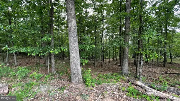 Lots 47-48-49 Bristol Ct, SLANESVILLE, WV 25444
