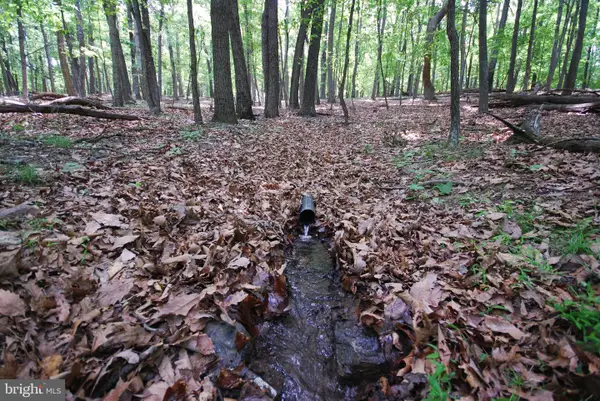 Lot 67 Mill Mountain Rd, ROMNEY, WV 26757