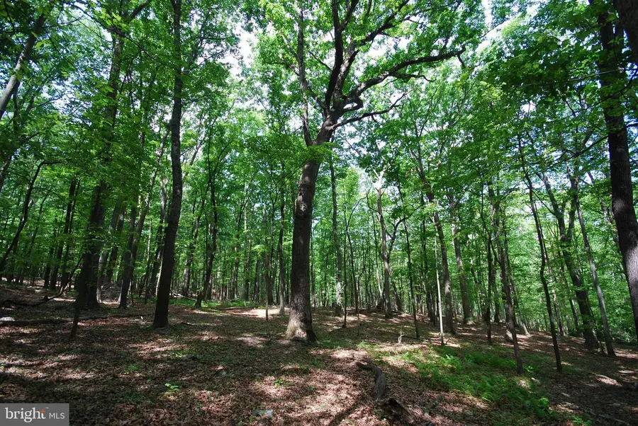 Lot 67 Mill Mountain Rd, Romney, WV 26757 - #2