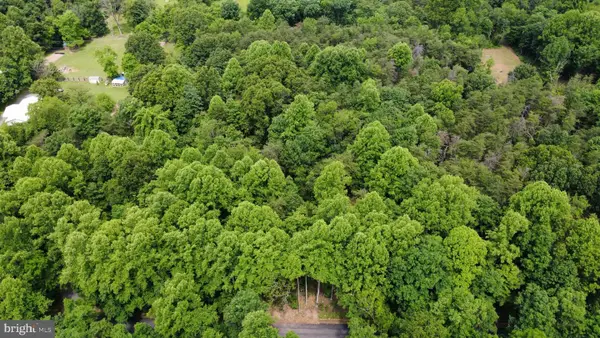 Lot 3b Critton Owl Hollow Rd, PAW PAW, WV 25434