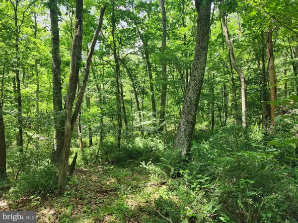 Lot 1 Nathaniel Mountain Heights, ROMNEY, WV 26757