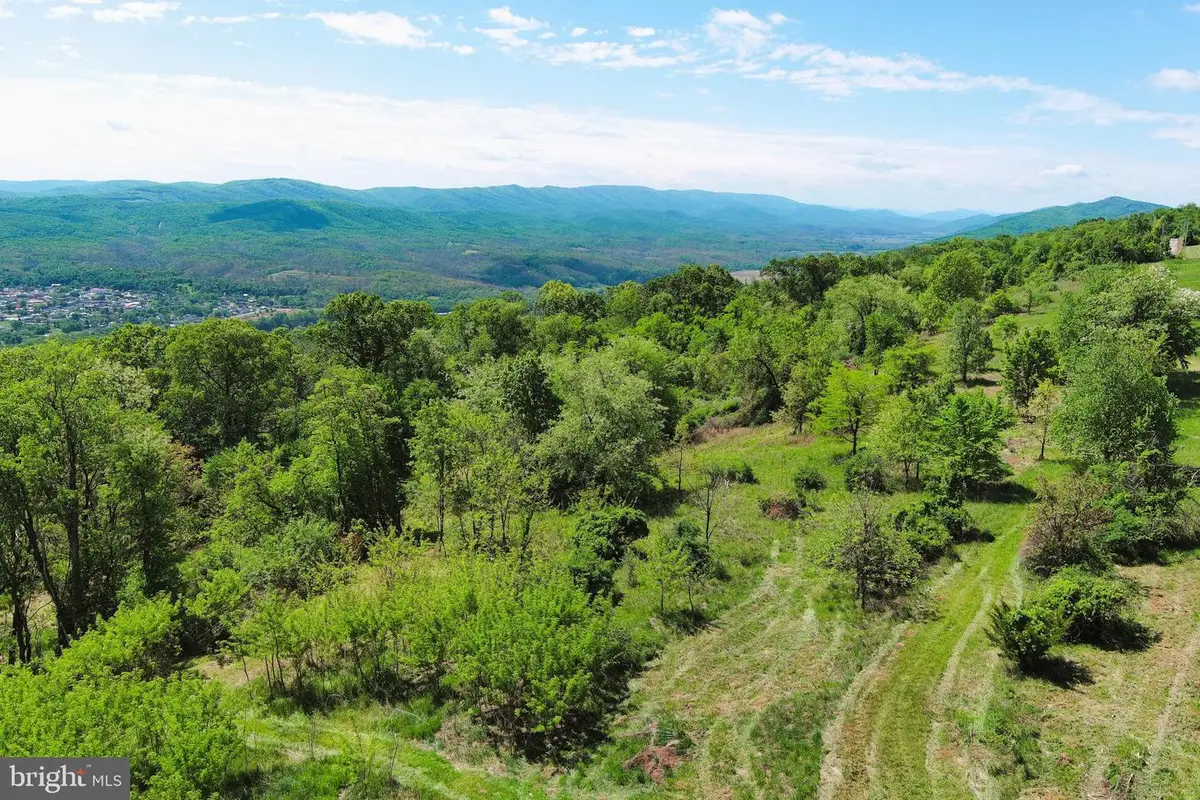 Lot # 69 High Mountain Orchards, Romney, WV 26757 - #1
