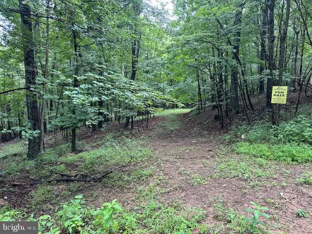 Lot 61 High Mountain View Rd, Romney, WV 26757 - #2