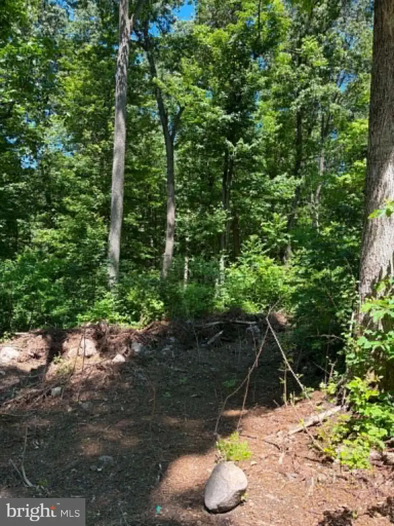 51 Cabin Rd, Augusta, WV 26704 - #3