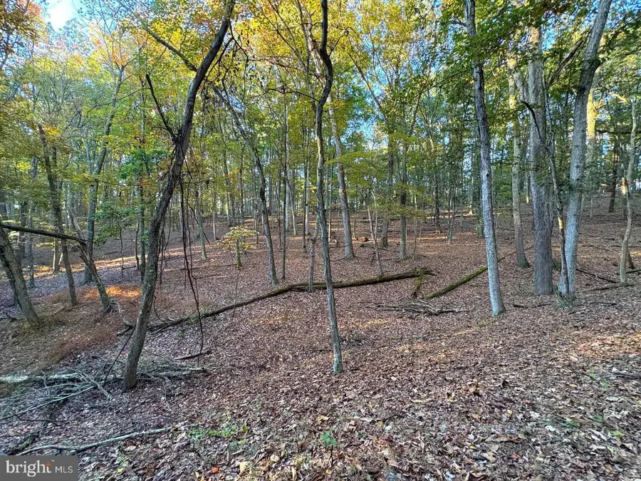7313 Little Cacapon Rd, Romney, WV 26757 - #3