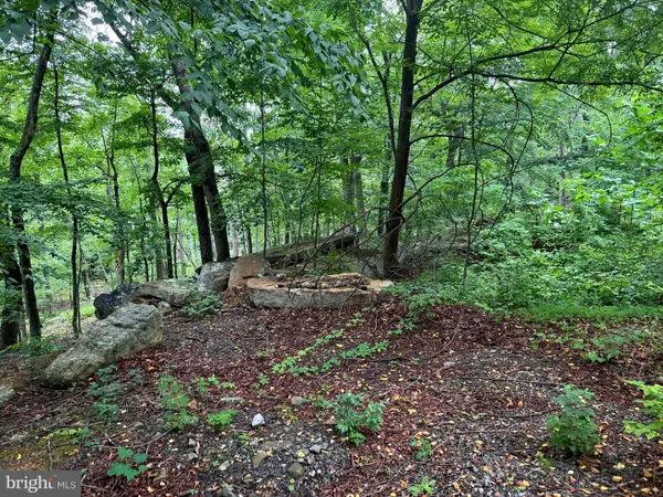 Tr D-15 Deer Path Rd, AUGUSTA, WV 26704