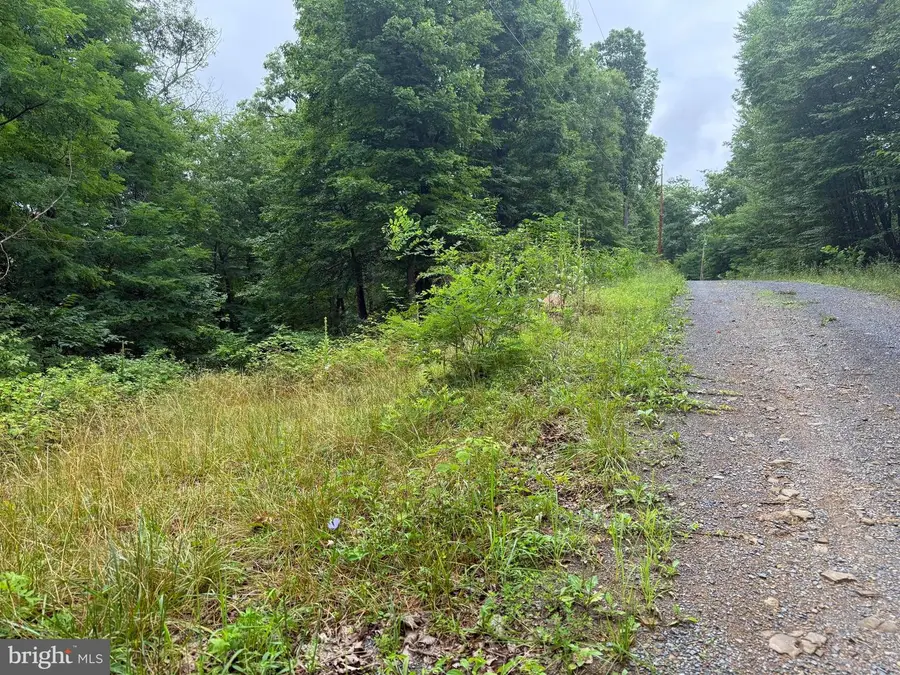 Tr D-15 Deer Path Rd, Augusta, WV 26704 - #2