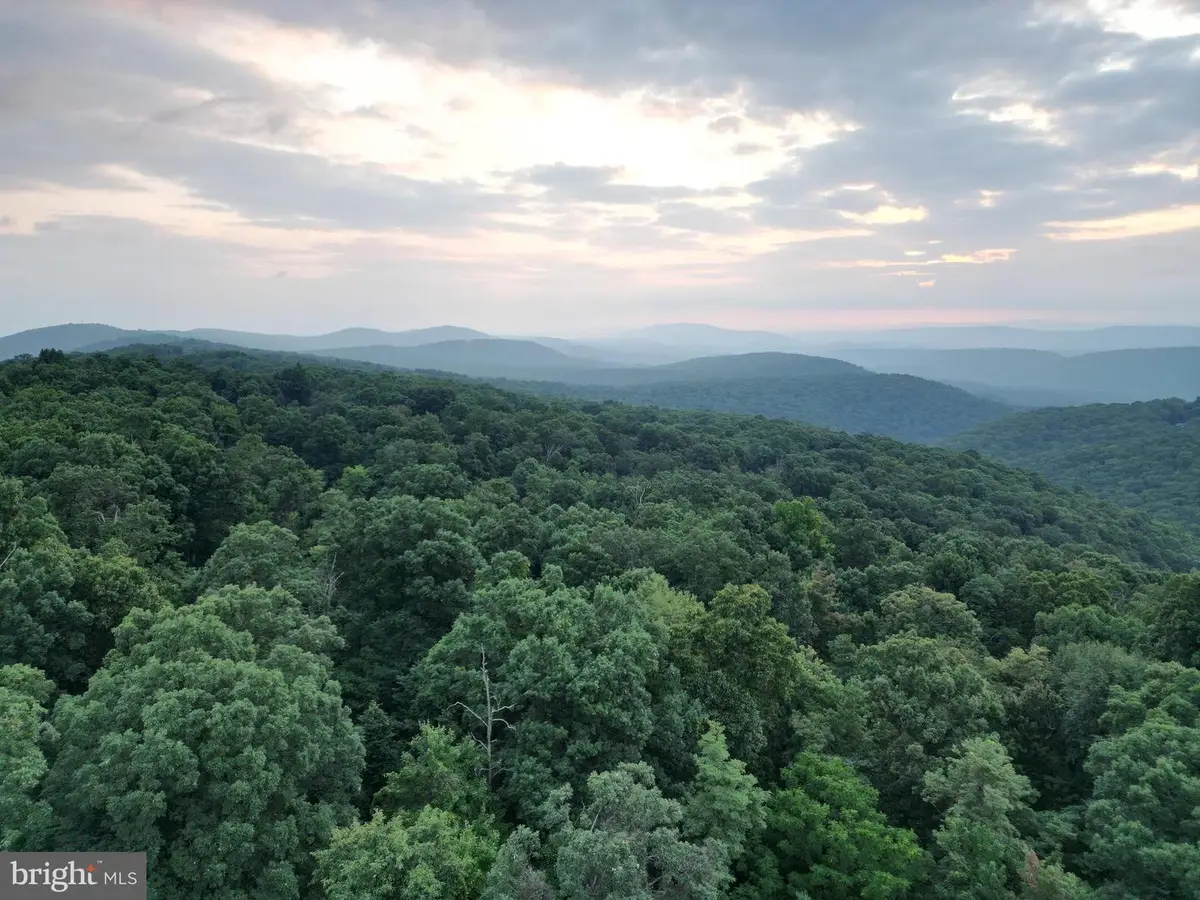 Lot 203 Graces Cabin Rd, Romney, WV 26757 - #1