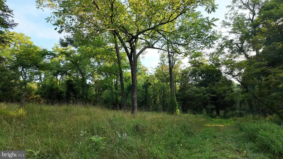 Lot 203 Graces Cabin Rd, Romney, WV 26757 - #3