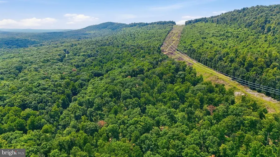 14.29ac Whispering Pines Rd, Slanesville, WV 25444 - #2
