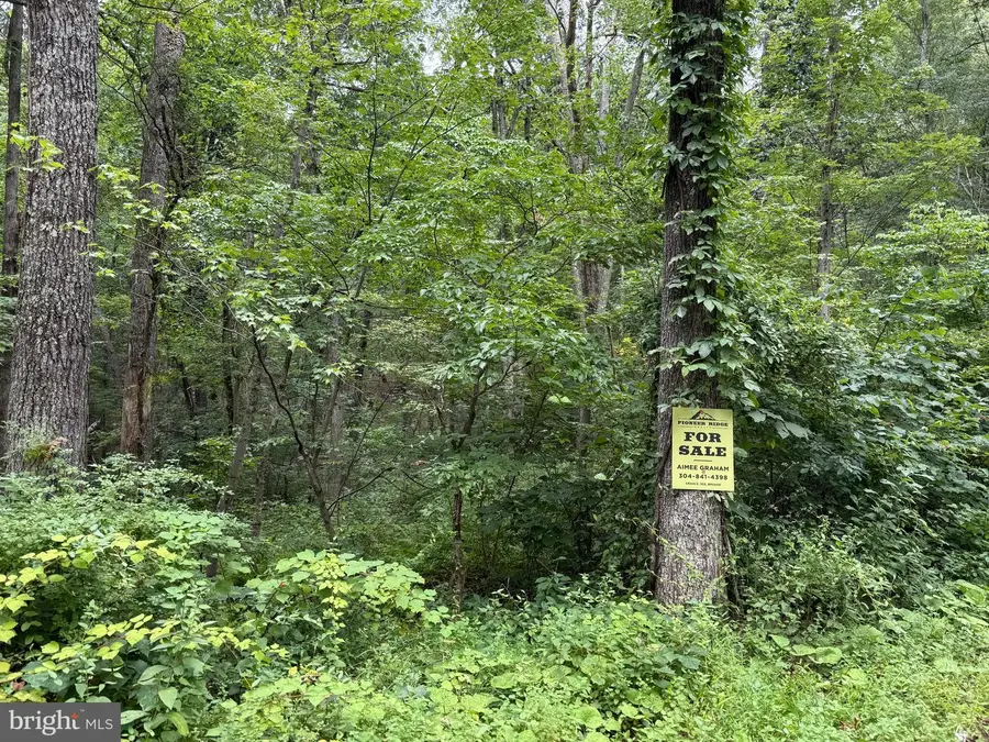 8.34 Acres On Arnold Stickley Rd., Green Spring, WV 26722 - #3