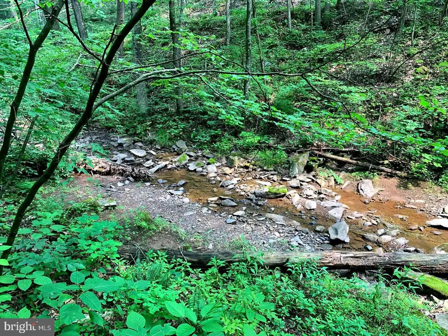Cardinal View Rd, Paw Paw, WV 25434 - #2