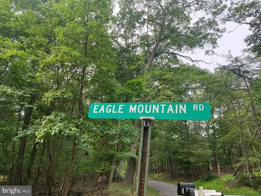 Cardinal View Rd, Paw Paw, WV 25434 - #3