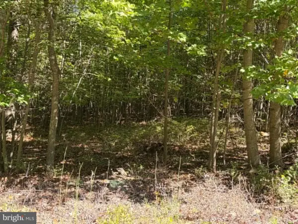 669 Capon Woods Resort Rd #lot 19, HIGH VIEW, WV 26808