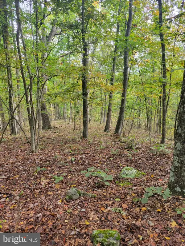 Bear Rd, DELRAY, WV 26714