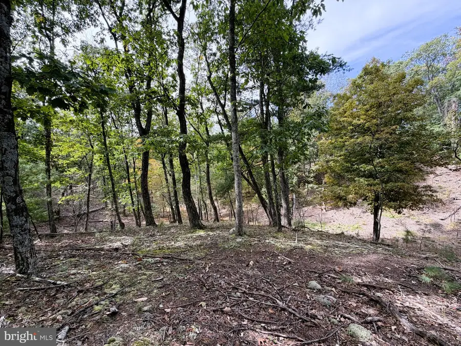24 Long Acre Ests, Romney, WV 26757 - #2