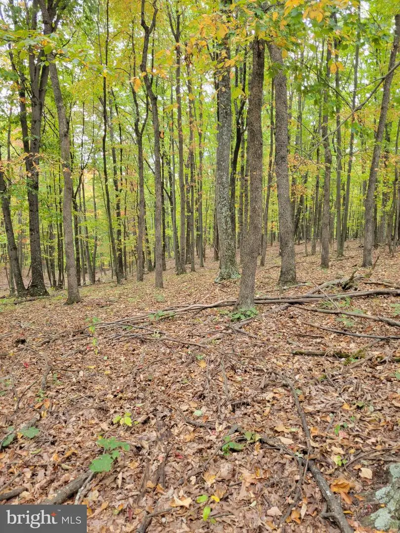 Firecracker Ln, Delray, WV 26714 - #3