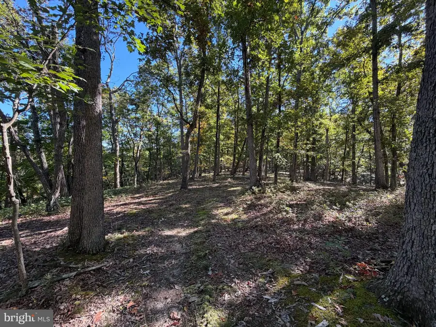 270 Rachaels Ln, Delray, WV 26714 - #2