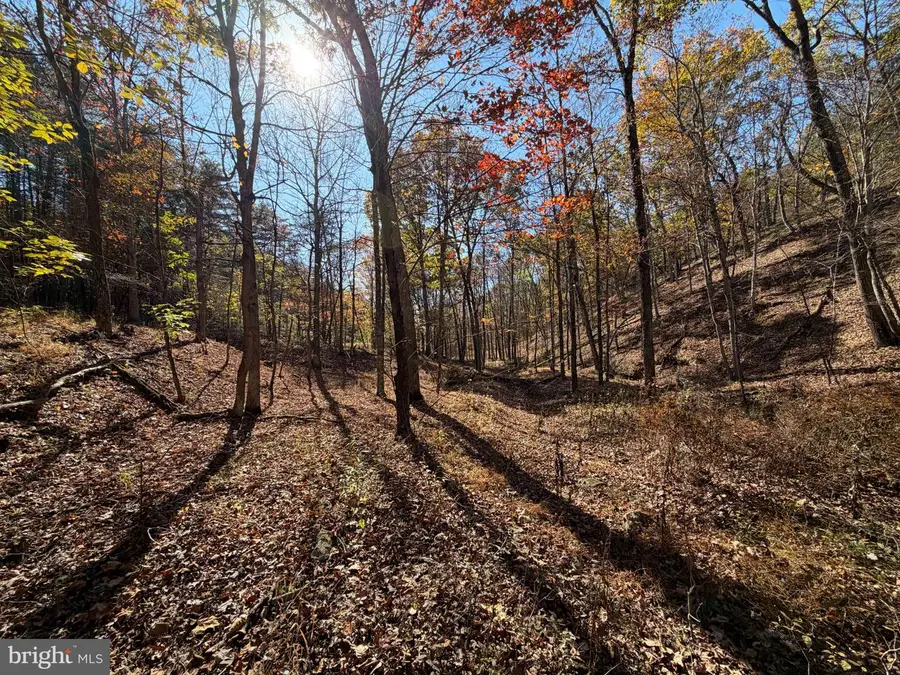 81 Bluffs On The Potomac, Springfield, WV 26763 - #3