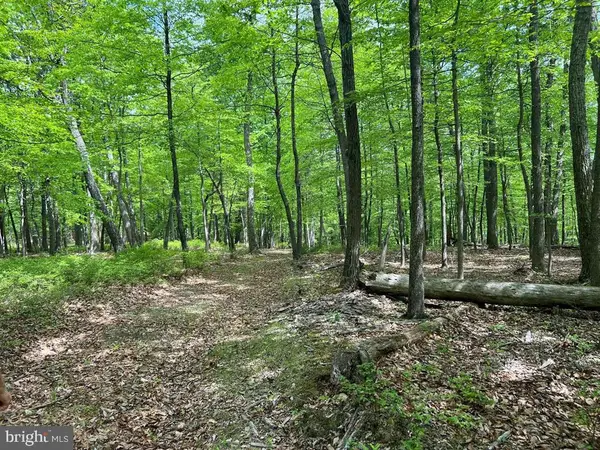 N North River Rd, AUGUSTA, WV 26704