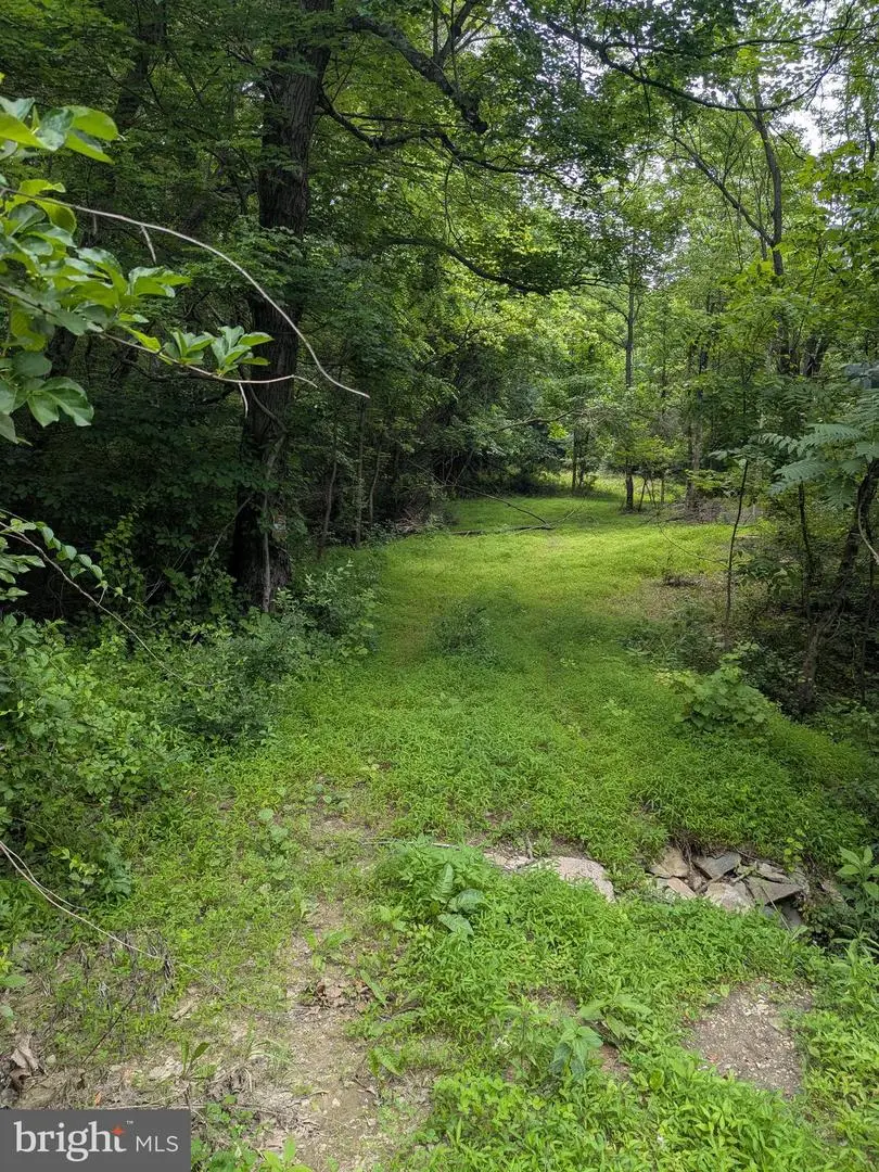 6.1 And 1.57 Acres Chestnut Hill Rd, Harpers Ferry, WV 25425 - Image #1