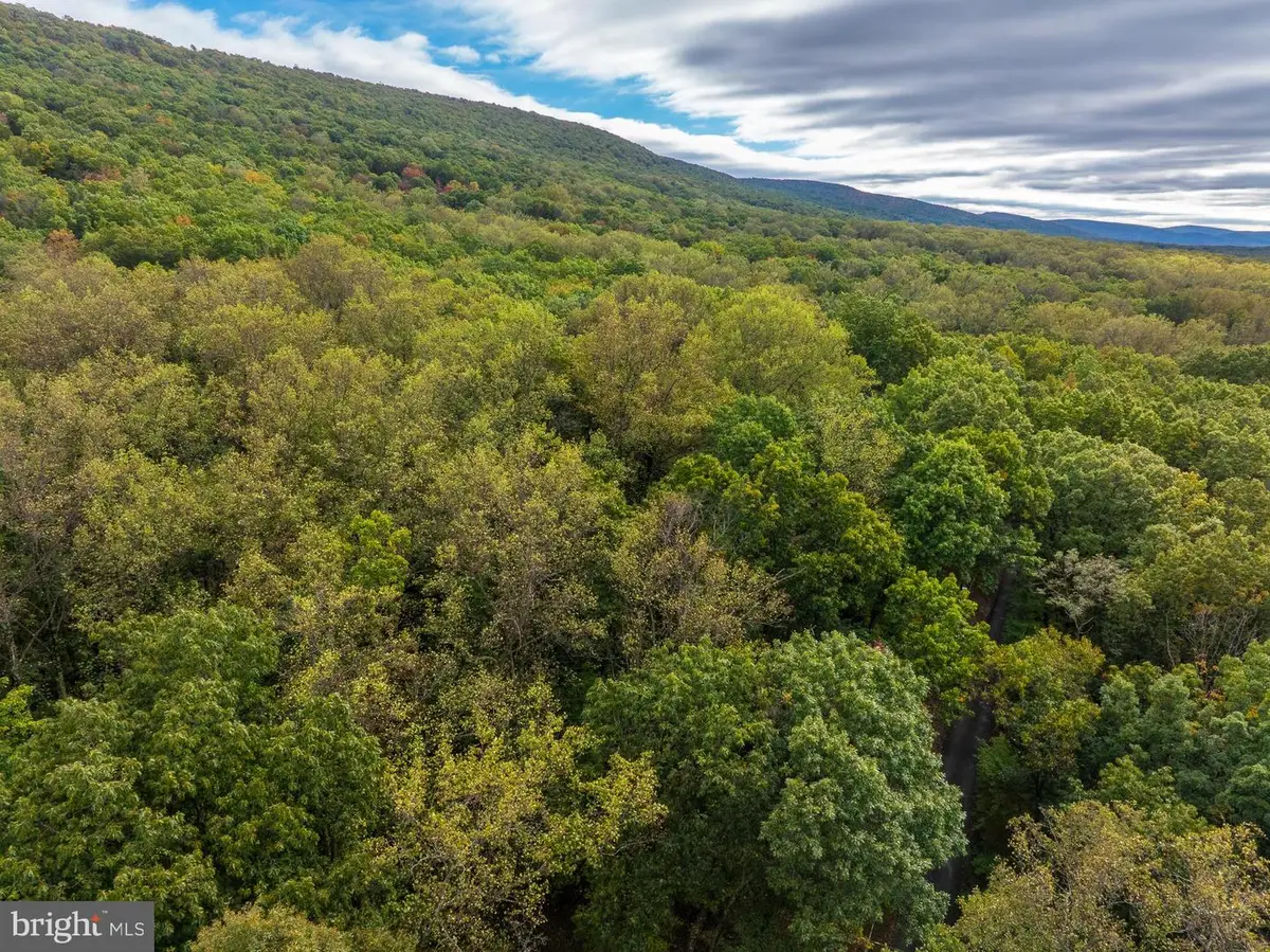 #1 Highview Rd, Harpers Ferry, WV 25425 - Image #1