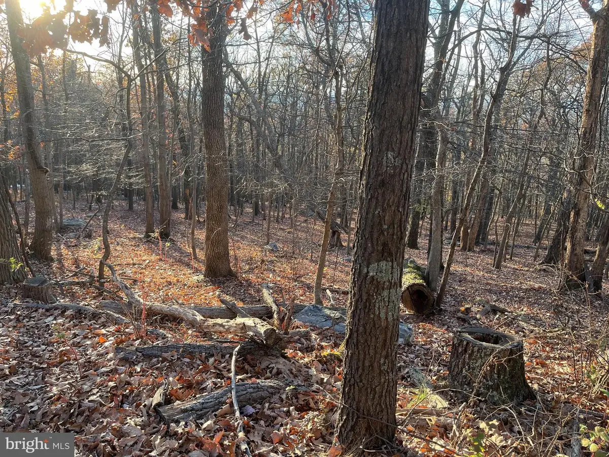 Stone Ridge Rd, Harpers Ferry, WV 25425 - Image #1