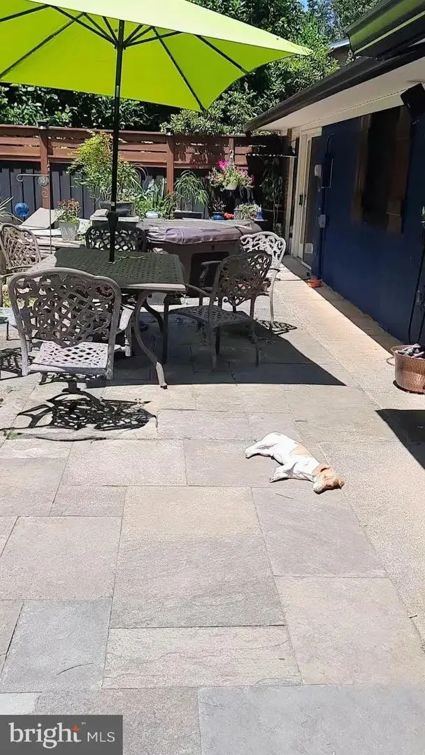 61 Natalie Ln, Harpers Ferry, WV 25425 - #3