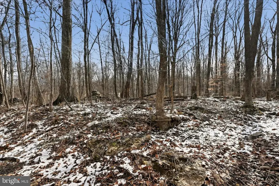 Lots 123 & 124 Tulip Tree Way, Harpers Ferry, WV 25425 - #3