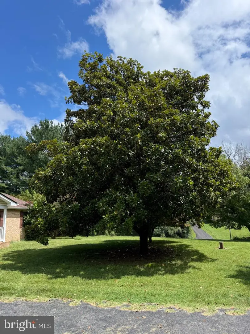 357 Macbeth Dr, Charles Town, WV 25414 - #2