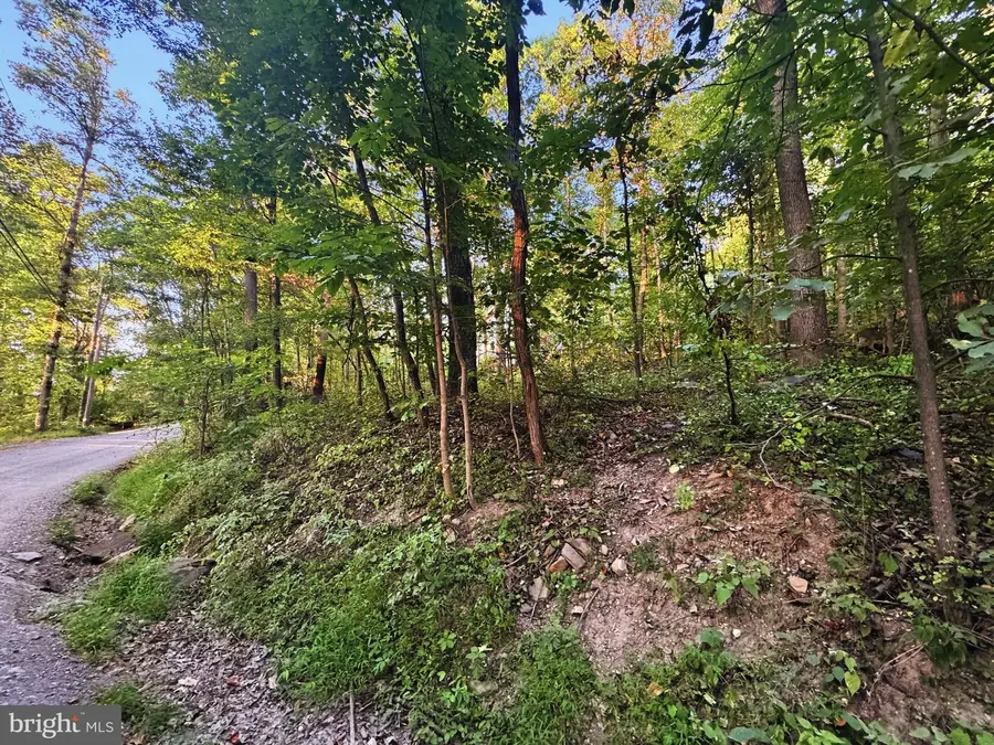 Lots 19-20 Red Maple Ln, Harpers Ferry, WV 25425 - #2