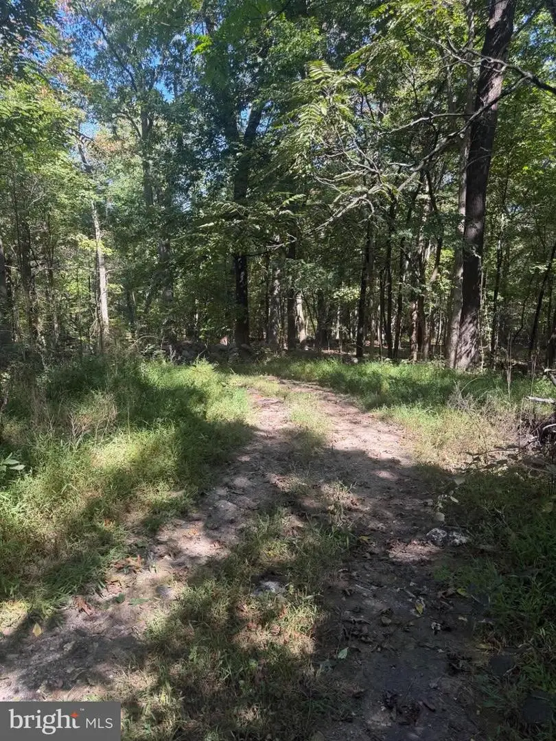 57 Ruffed Grouse Trl, Harpers Ferry, WV 25425 - #3