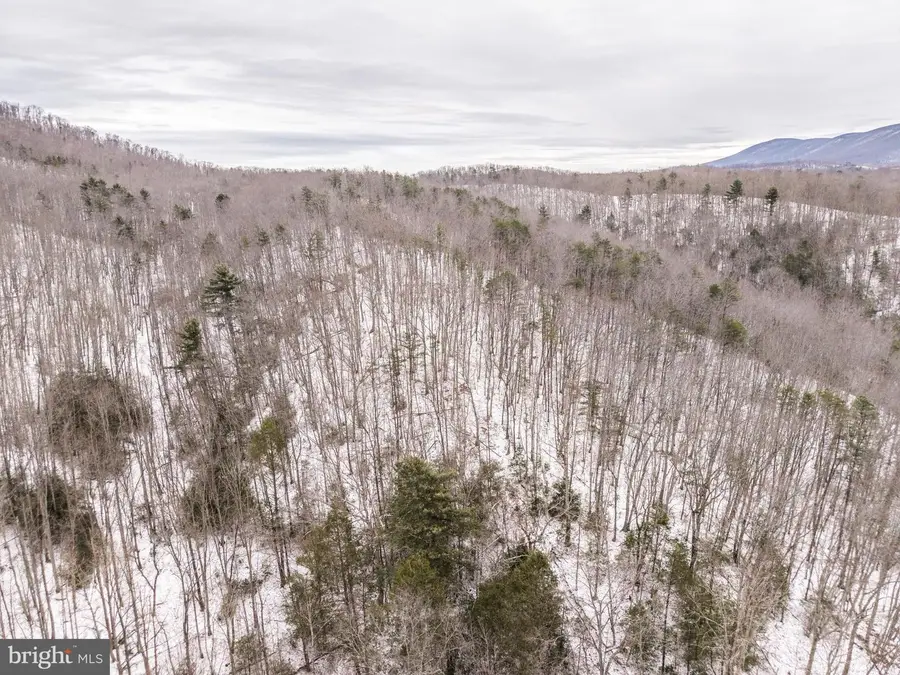 0 Dunkard Church Rd, Lindside, WV 24951 - Image #3