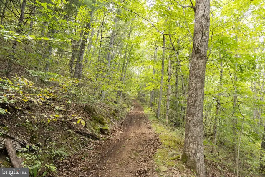 386 Long Rd, Ballard, WV 24918 - #3